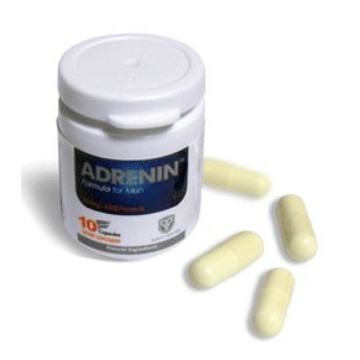 아드레닌 1각[30P]